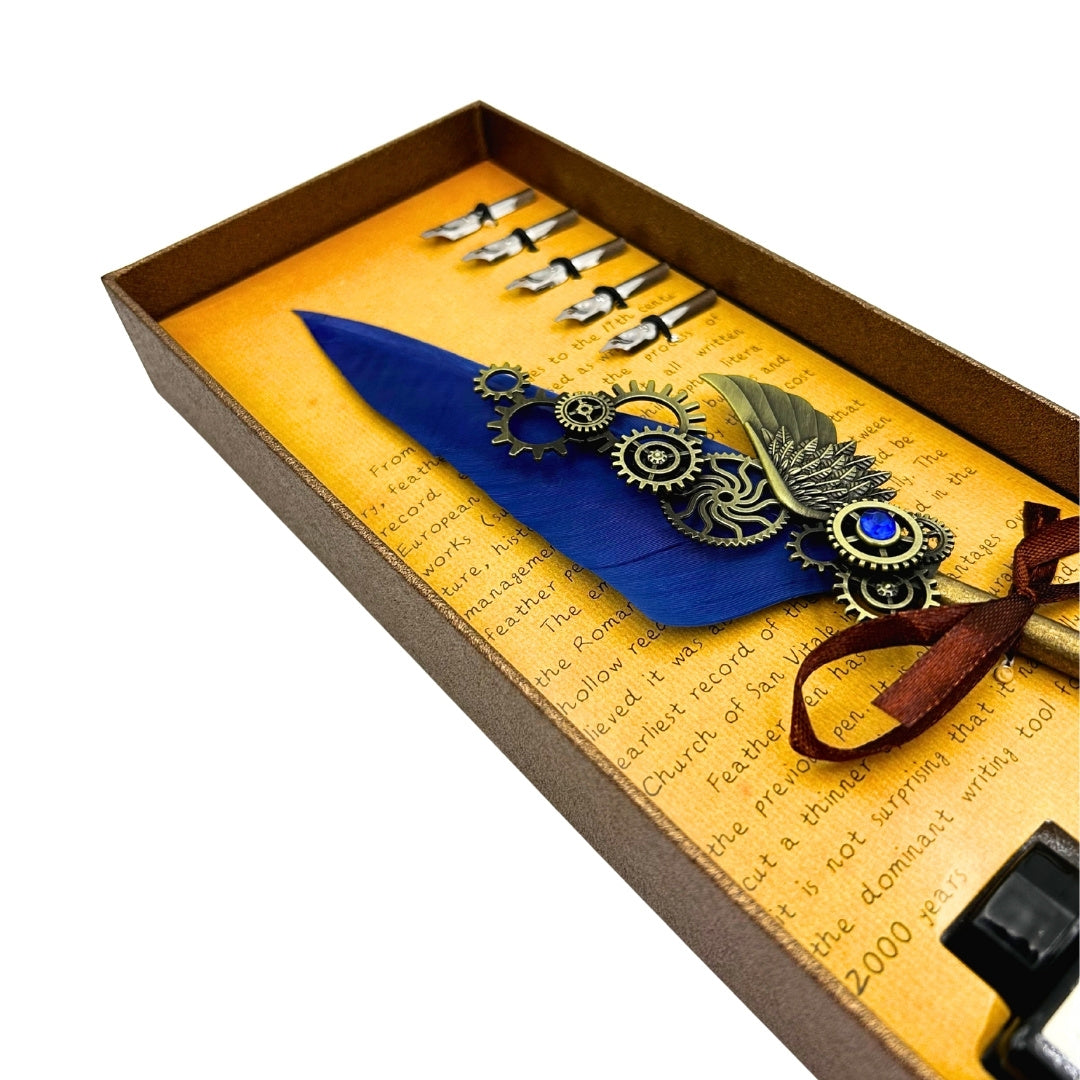 Coffret de calligraphie rétro avec plume d’oie bleue vintage, 6 plumes, encre, cadeau – EE11