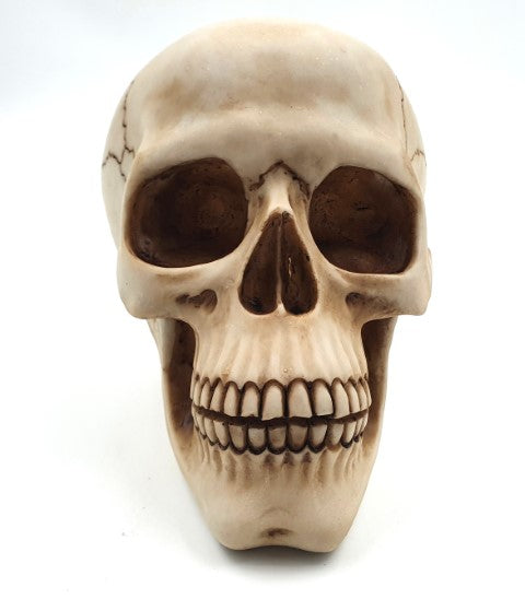 Figurine décorative crâne 15 cm - MC-30685