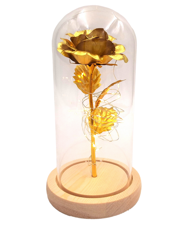 Lampe de nuit Rose - LED - G116