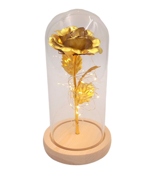 Lampe de nuit Rose - LED - G116