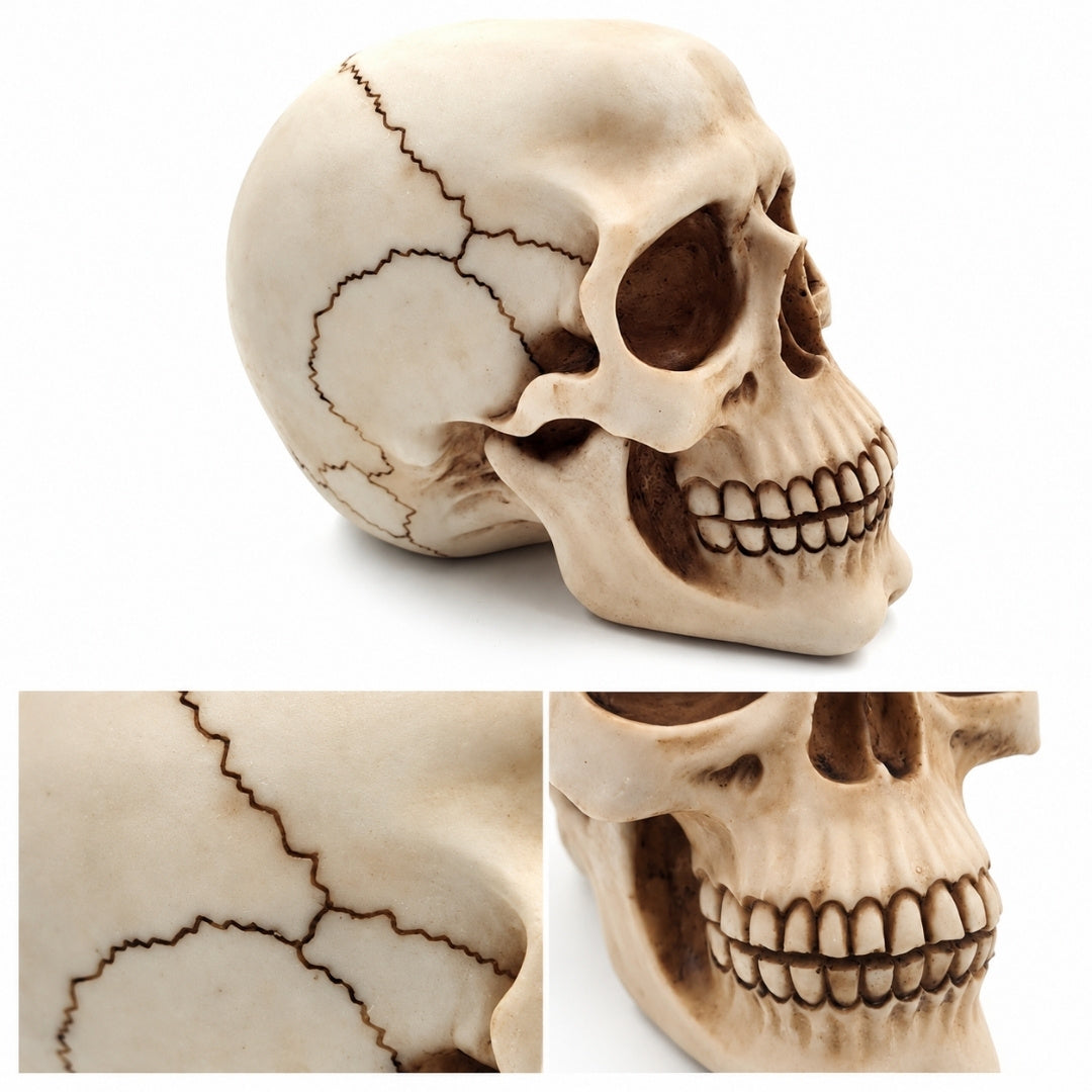 Figurine décorative crâne 15 cm - MC-30685