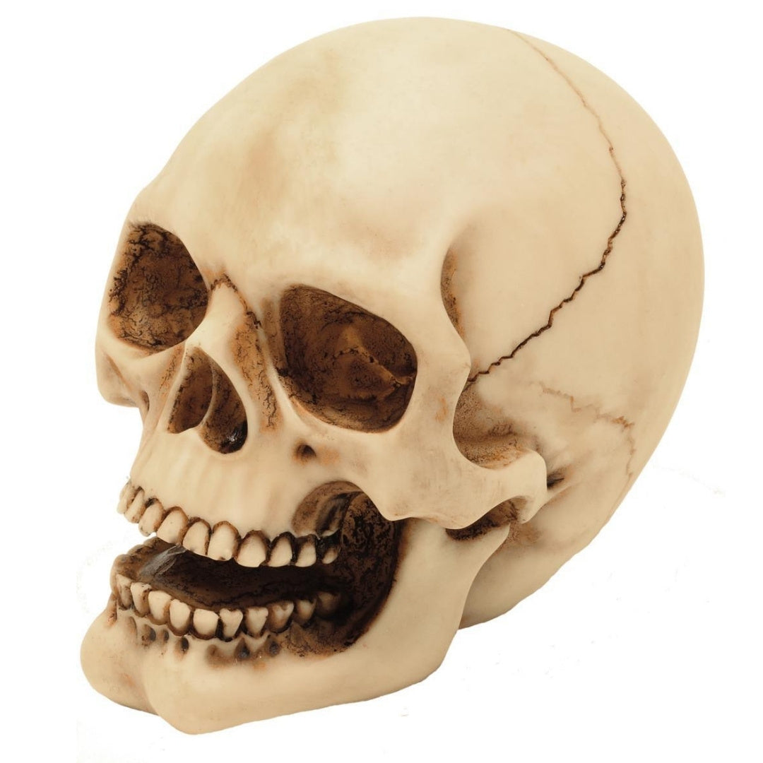Totenkopf-Figur 10 cm mit Gravurmöglichkeit – handbemalte Dekoration aus Polyresin als Geschenk für Liebhaber des Gothic- und Dark-Stils