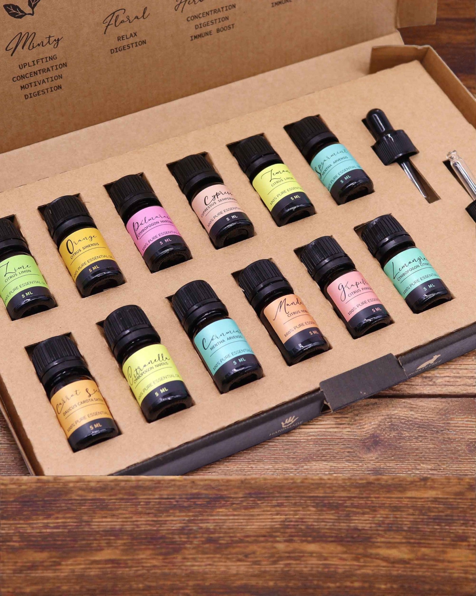 Énergie estivale de la nature – Ensemble de luxe de 12 huiles essentielles de 5 ml avec pipettes