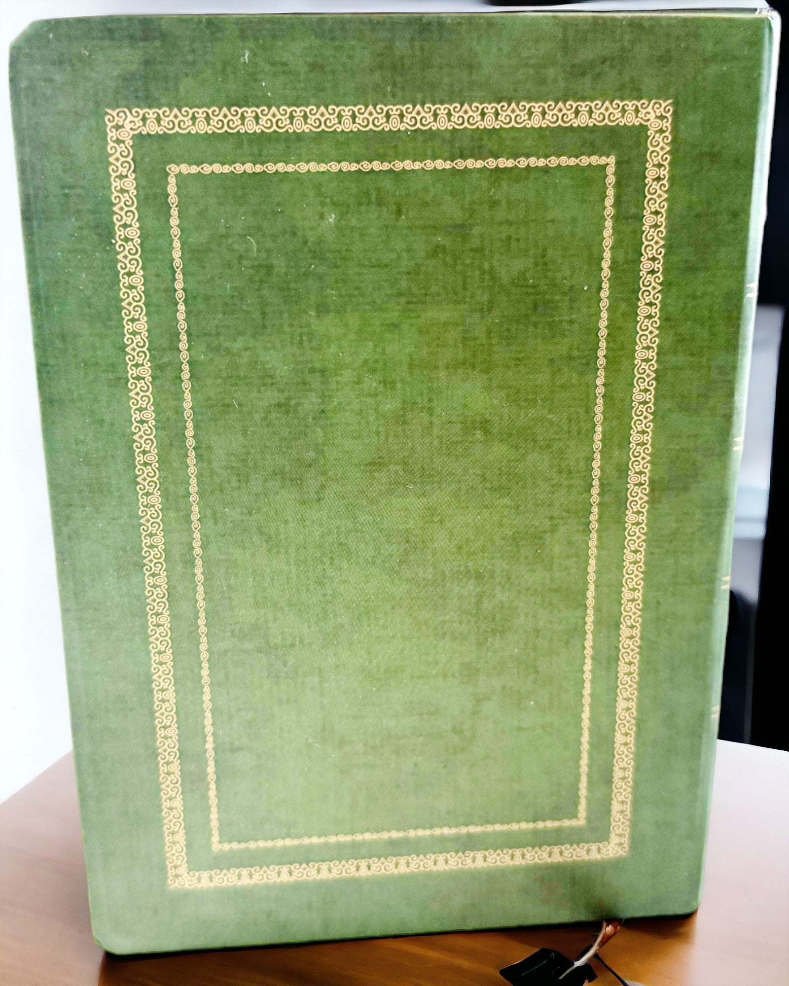 Carnet Vert Décoratif avec Motif de Dragon - Inspirations Fantasy, avec gravure