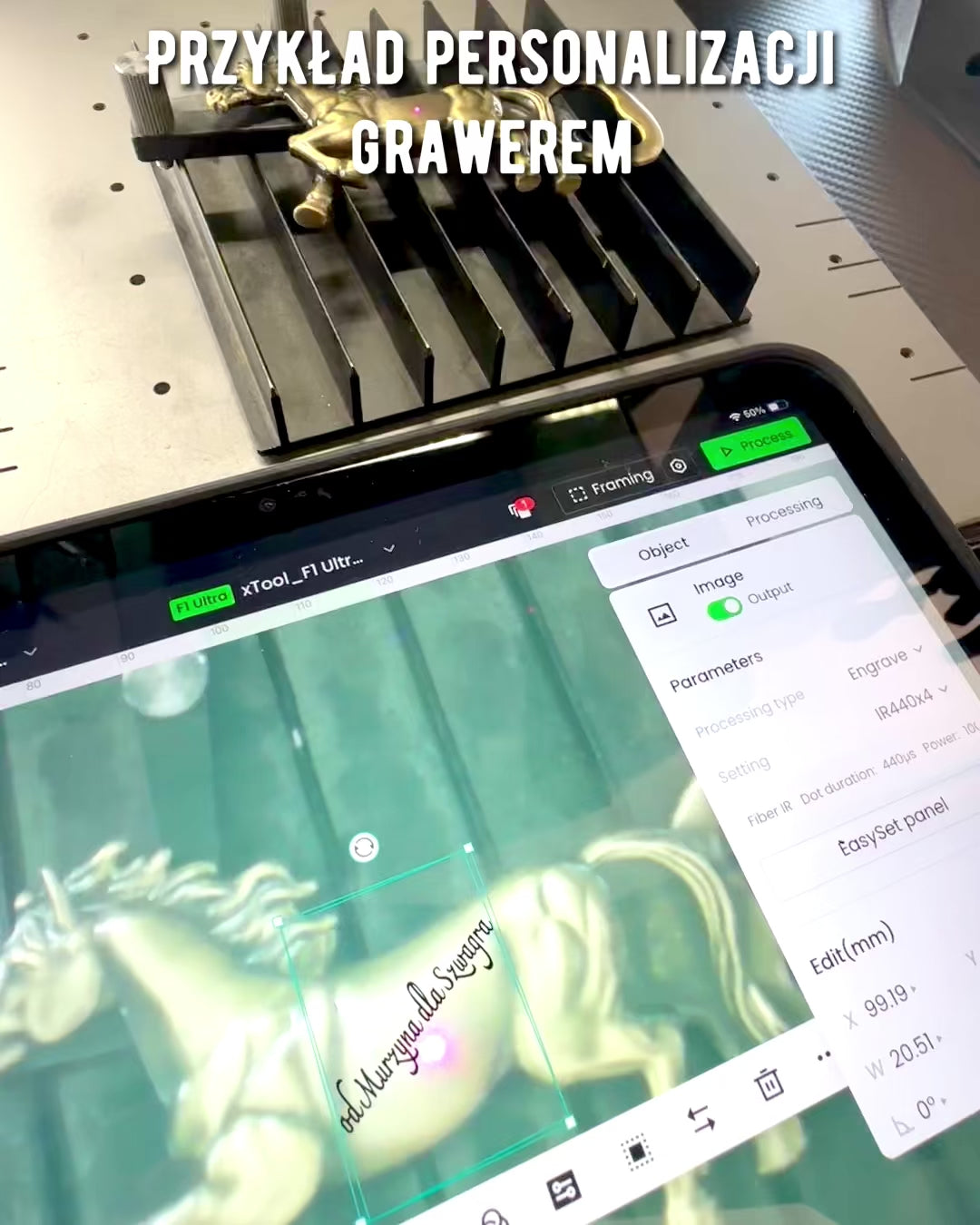 Ouvre-bouteille Vintage Animaux - 7 variantes, personnalisation par gravure pour cadeau