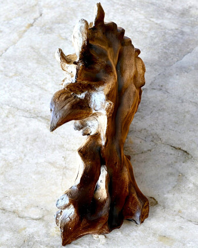 Lwia Odwaga Figurka van Hars, 28 cm hoog, met optie voor graveren als cadeau