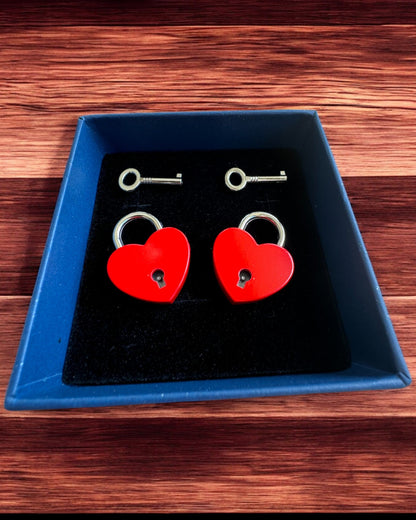 Mini Cadenas Cœur DeLuxe - Ensemble de 2 cadenas avec clés, 6 variantes au choix, possibilité de personnalisation par gravure pour cadeau