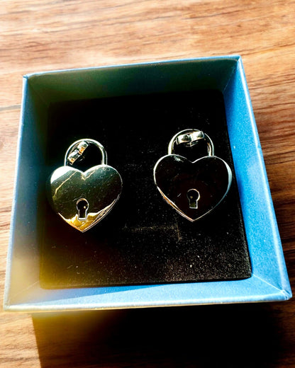 Mini Cadenas Cœur DeLuxe - Ensemble de 2 cadenas avec clés, 6 variantes au choix, possibilité de personnalisation par gravure pour cadeau
