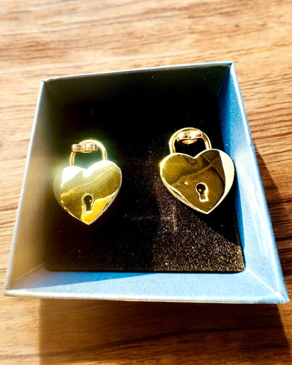 Mini Cadenas Cœur DeLuxe - Ensemble de 2 cadenas avec clés, 6 variantes au choix, possibilité de personnalisation par gravure pour cadeau