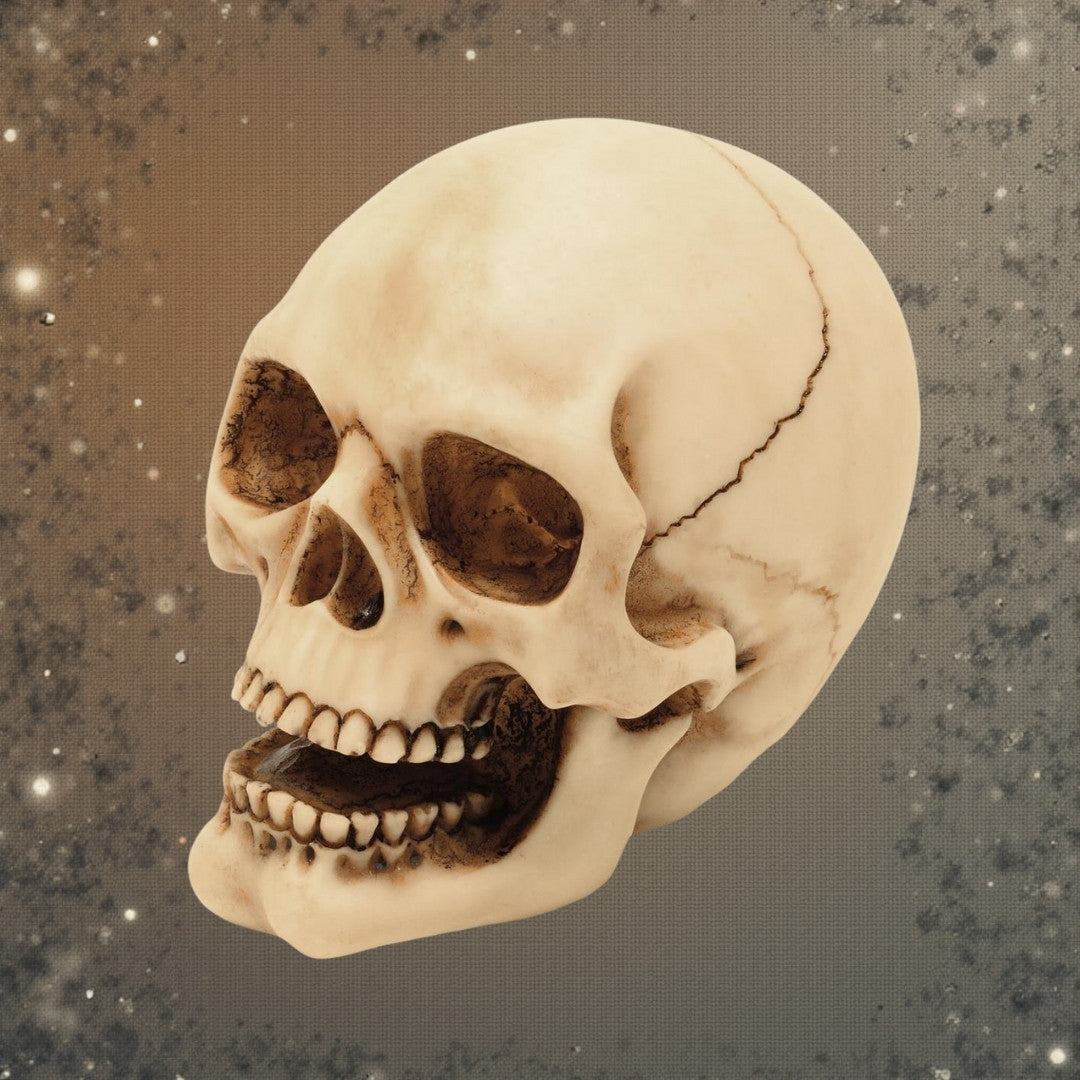 Totenkopf-Figur 10 cm mit Gravurmöglichkeit – handbemalte Dekoration aus Polyresin als Geschenk für Liebhaber des Gothic- und Dark-Stils