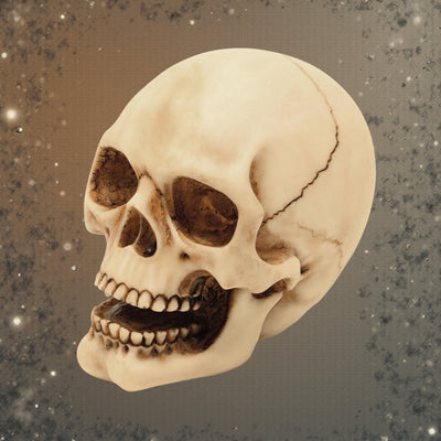 Totenkopf-Figur 10 cm mit Gravurmöglichkeit – handbemalte Dekoration aus Polyresin als Geschenk für Liebhaber des Gothic- und Dark-Stils