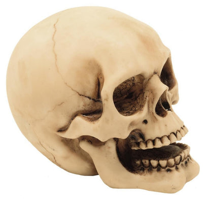 Totenkopf-Figur 10 cm mit Gravurmöglichkeit – handbemalte Dekoration aus Polyresin als Geschenk für Liebhaber des Gothic- und Dark-Stils