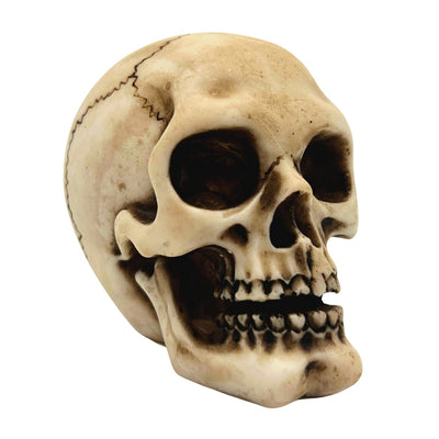 Crâne figurine modèle décoration Halloween gadget cadeau - MC-30683