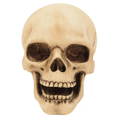 Totenkopf-Figur 10 cm mit Gravurmöglichkeit – handbemalte Dekoration aus Polyresin als Geschenk für Liebhaber des Gothic- und Dark-Stils