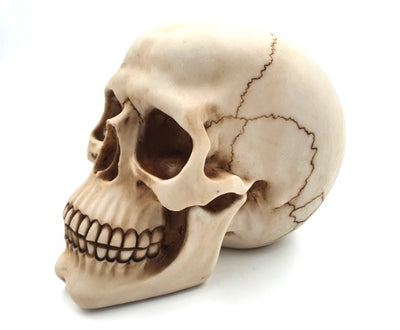 Dekorative Schädel-Figur 15 cm - MC-30685