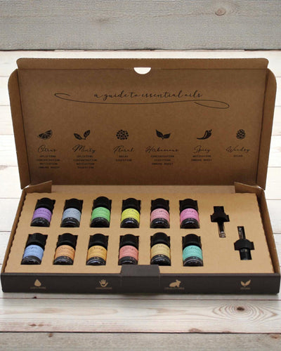Harmonie automnale de la nature – Ensemble de luxe de 12 huiles essentielles de 5 ml avec pipettes