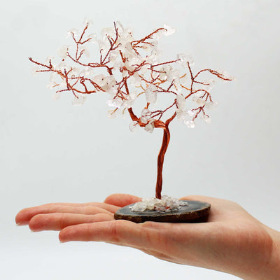 Grand Arbre de Cristal en Quartz de Montagne sur Base d'Agate Noire  
