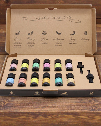 Essence du monde – Ensemble de luxe de 12 huiles essentielles les plus populaires de 5 ml avec pipettes