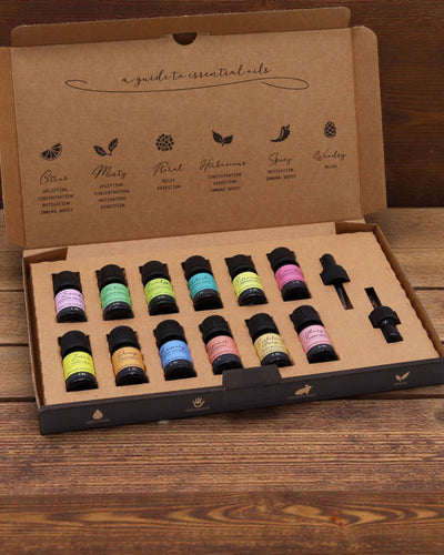 Essence du monde – Ensemble de luxe de 12 huiles essentielles les plus populaires de 5 ml avec pipettes