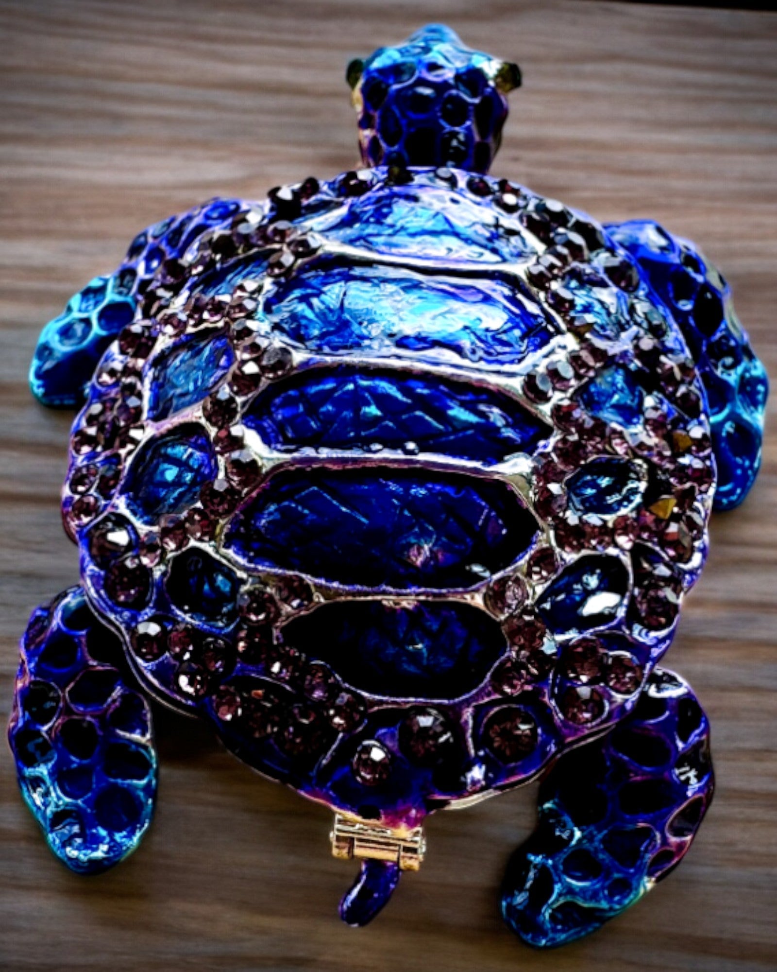 Magische Schat van de Schildpad - Sieradenkistje met personaliseerbare gravure, cadeau
