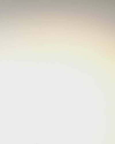 Elegante Heren Quartz Horloge - Transparant Mechanisme en Sportieve Elegant