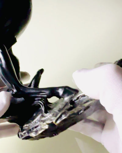 Czarna Perła - Paardensculptuur Elegantie in Beweging - Graveren Mogelijk